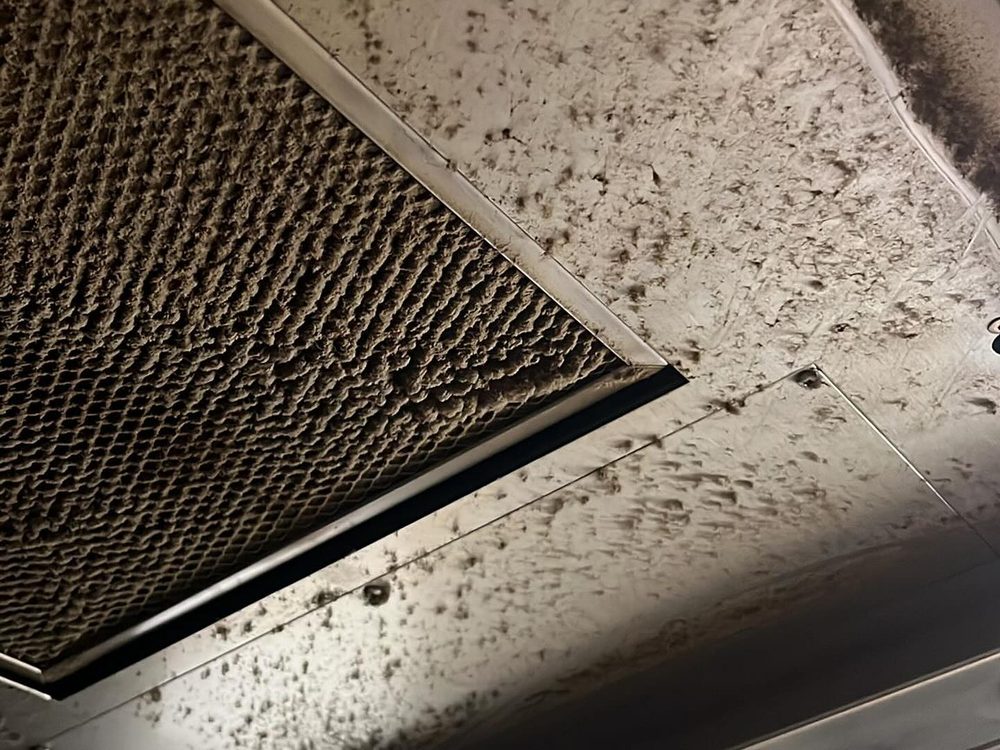 Range Hood & Grille Restoration — photo 1, Greenwood Village, CO
